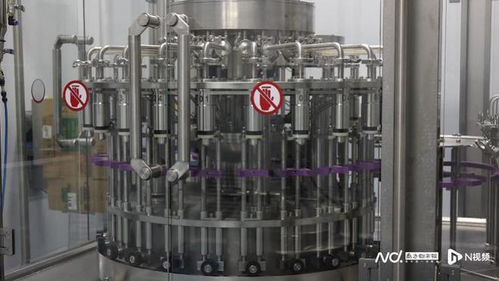 酸澀水果變身 致富果 ,小油柑如何 撬動 大產(chǎn)業(yè)