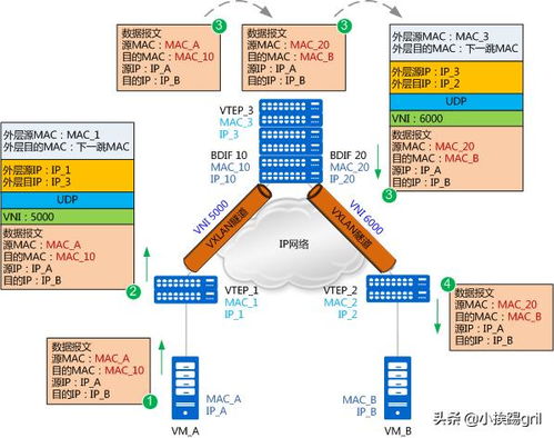 三層VNI VXLAN 網絡工程師你真的理解VXLAN技術嗎？原來二層網絡可以這么玩！